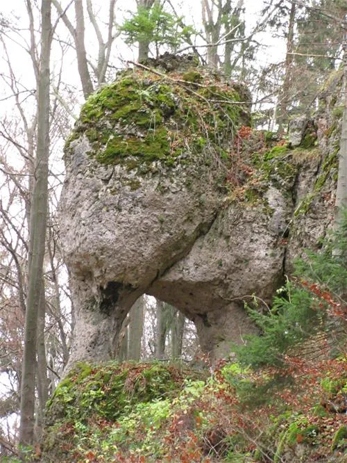 camping-betzenstein-betzenstein-safbt