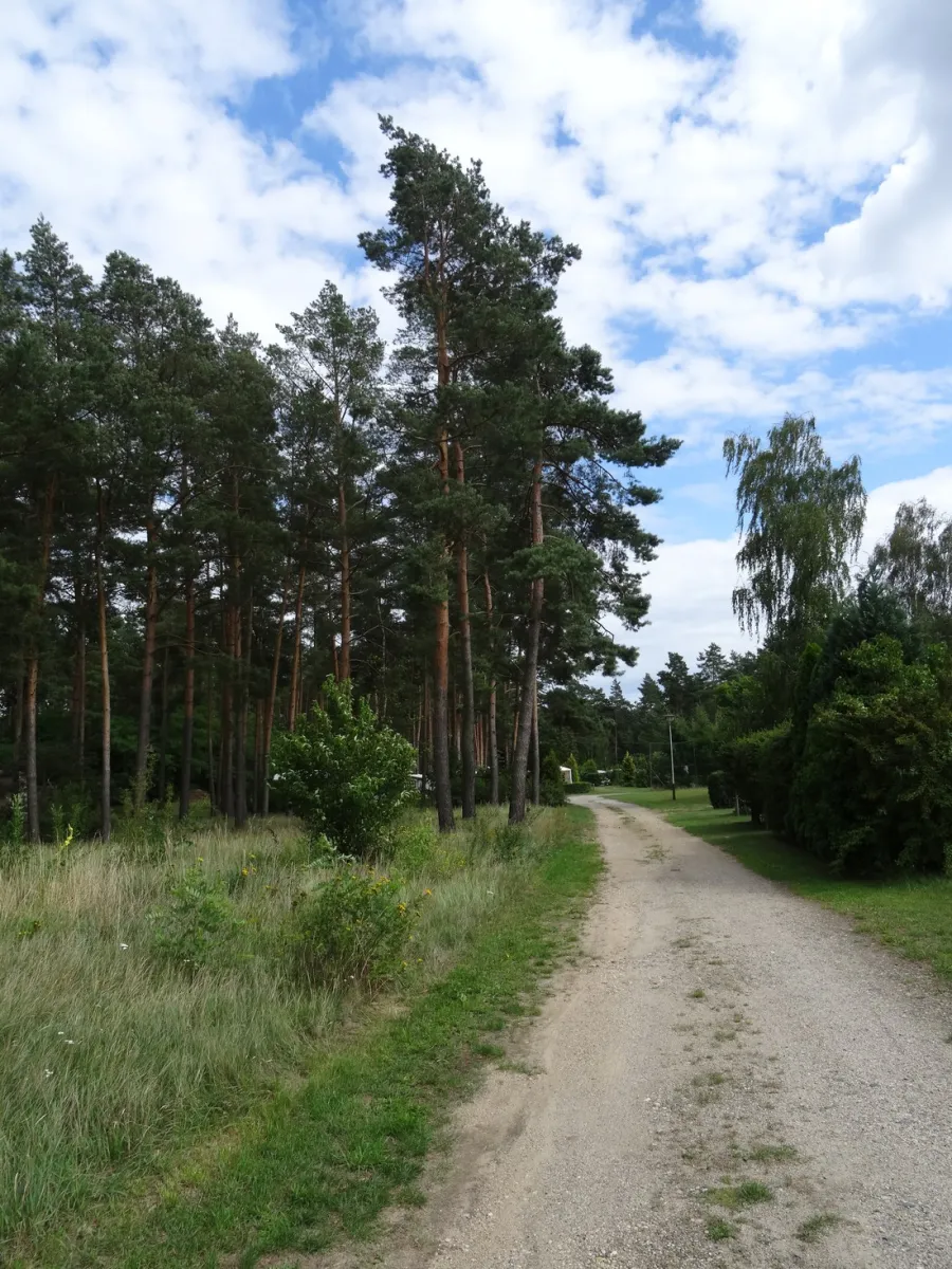 am-grossen-lausiger-teich-duitsland-8f3ad