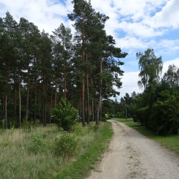 am-grossen-lausiger-teich-duitsland-8f3ad