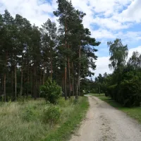 am-grossen-lausiger-teich-duitsland-8f3ad