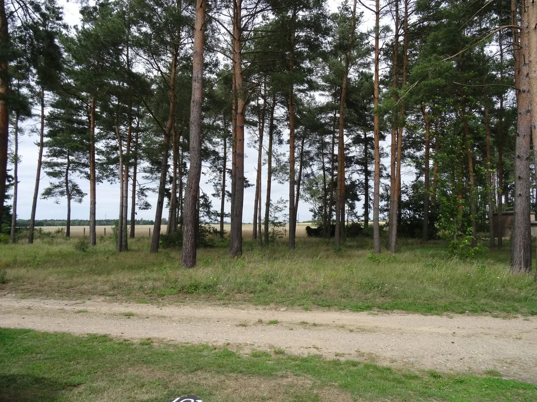 am-grossen-lausiger-teich-duitsland-j2msp