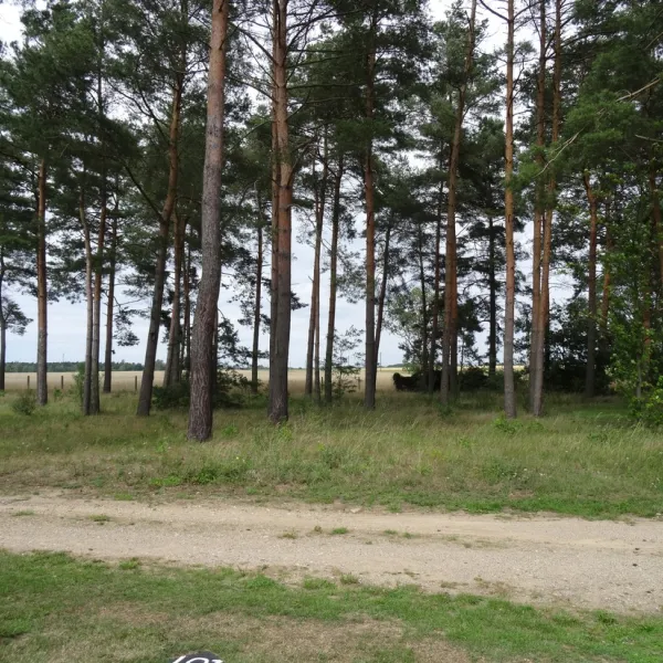 am-grossen-lausiger-teich-duitsland-j2msp