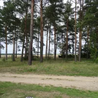 Am Großen Lausiger Teich