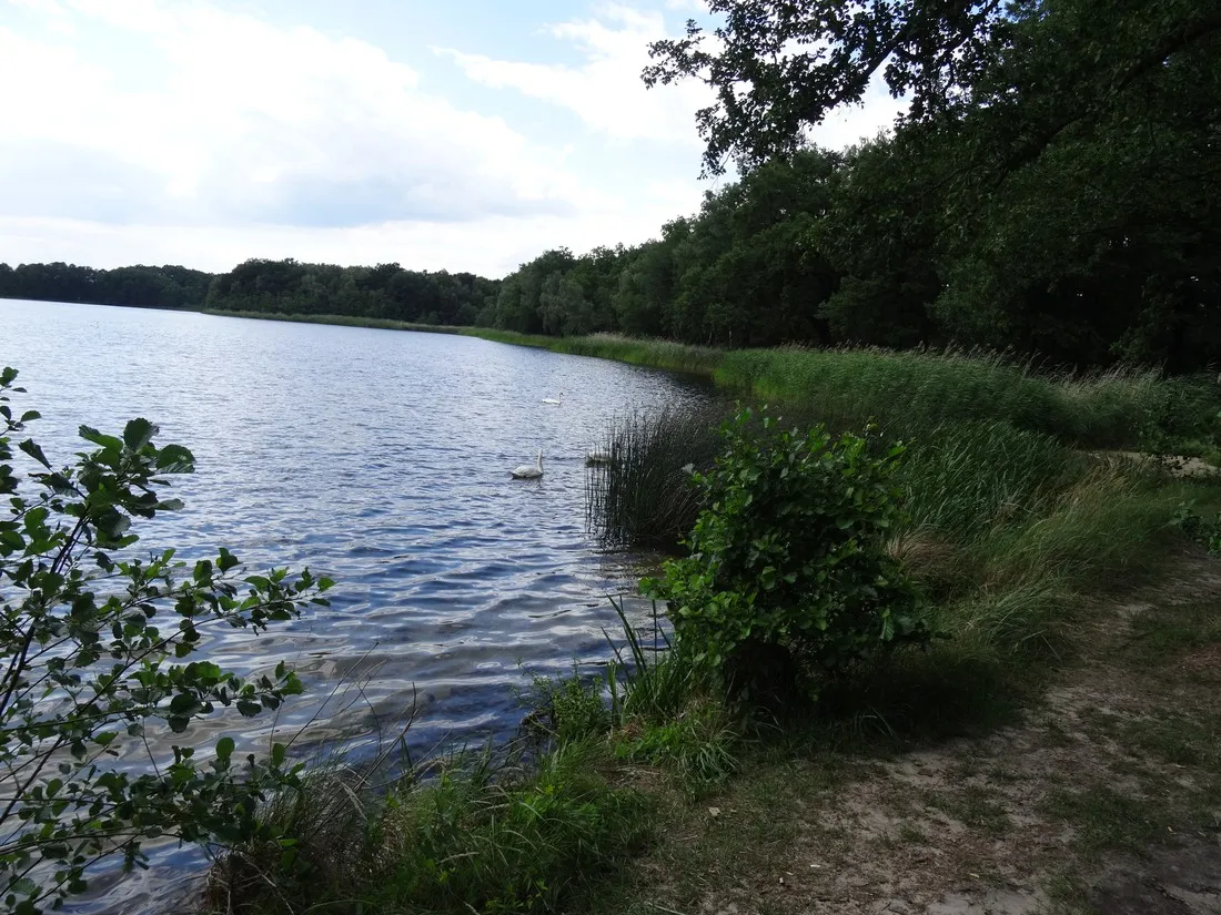 am-grossen-lausiger-teich-duitsland-wjql1
