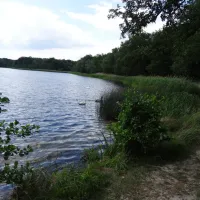 am-grossen-lausiger-teich-duitsland-wjql1