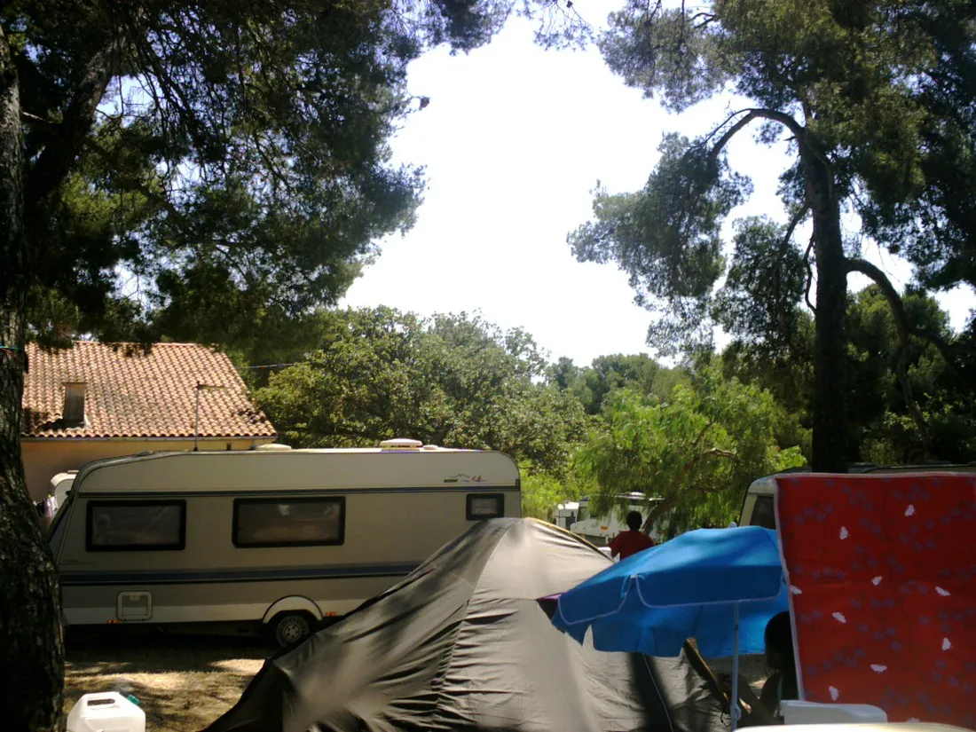 des-mimosas-la-seyne-sur-mer-88zbk