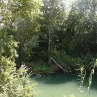 des-mimosas-la-seyne-sur-mer-c5ld6
