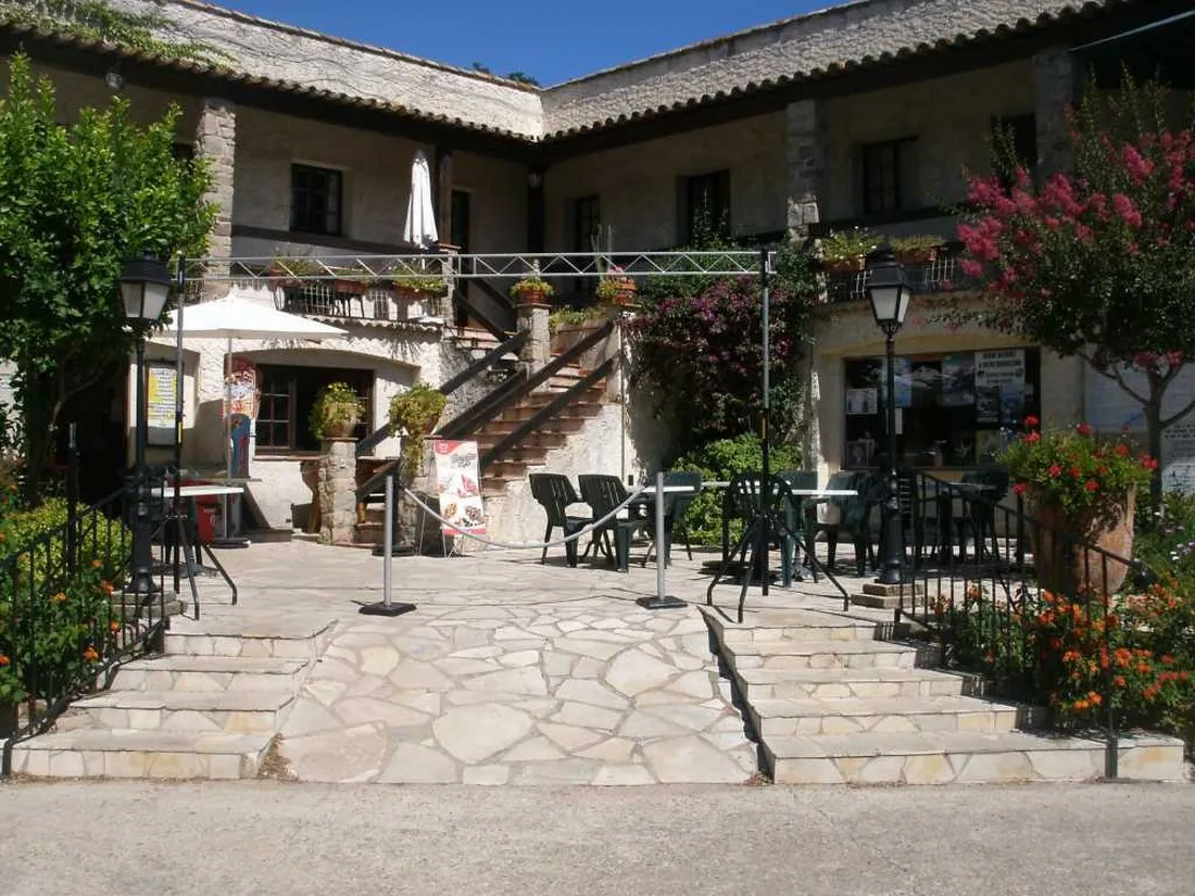 des-mimosas-la-seyne-sur-mer-itj5t
