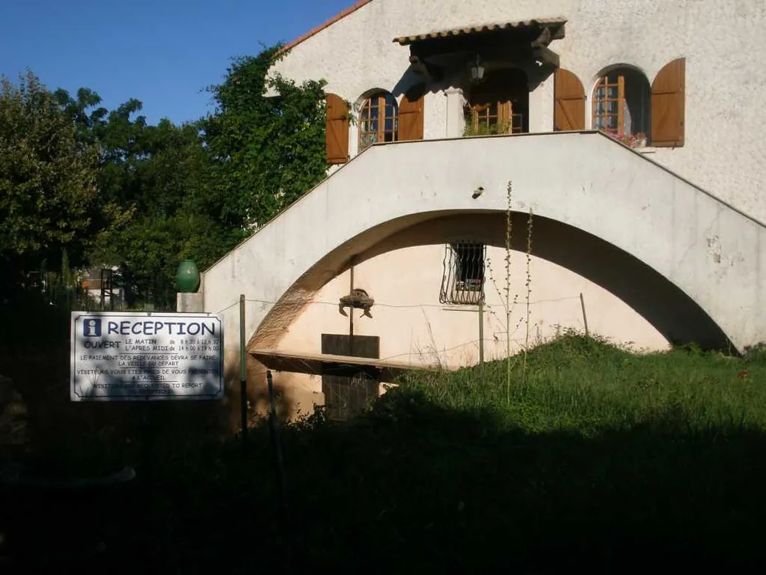 des-mimosas-la-seyne-sur-mer-lpzdb