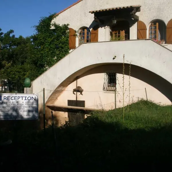 des-mimosas-la-seyne-sur-mer-lpzdb