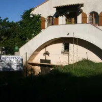 des-mimosas-la-seyne-sur-mer-lpzdb