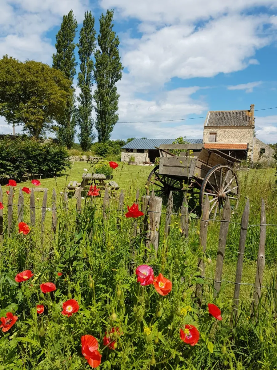 ferme-hay-day-asnieres-en-bessin-7ojub