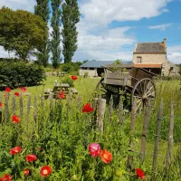 ferme-hay-day-asnieres-en-bessin-7ojub