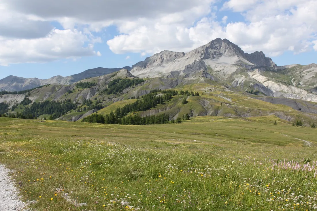 le-prieure-st-martin-dentraunes-dwylz