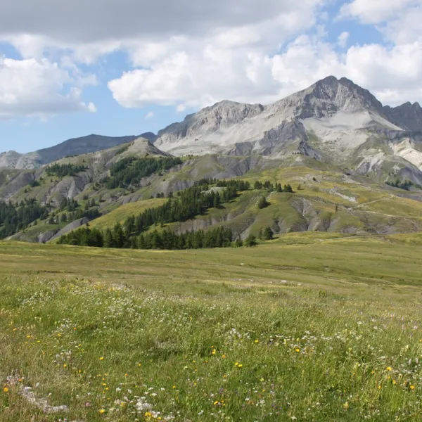 le-prieure-st-martin-dentraunes-dwylz