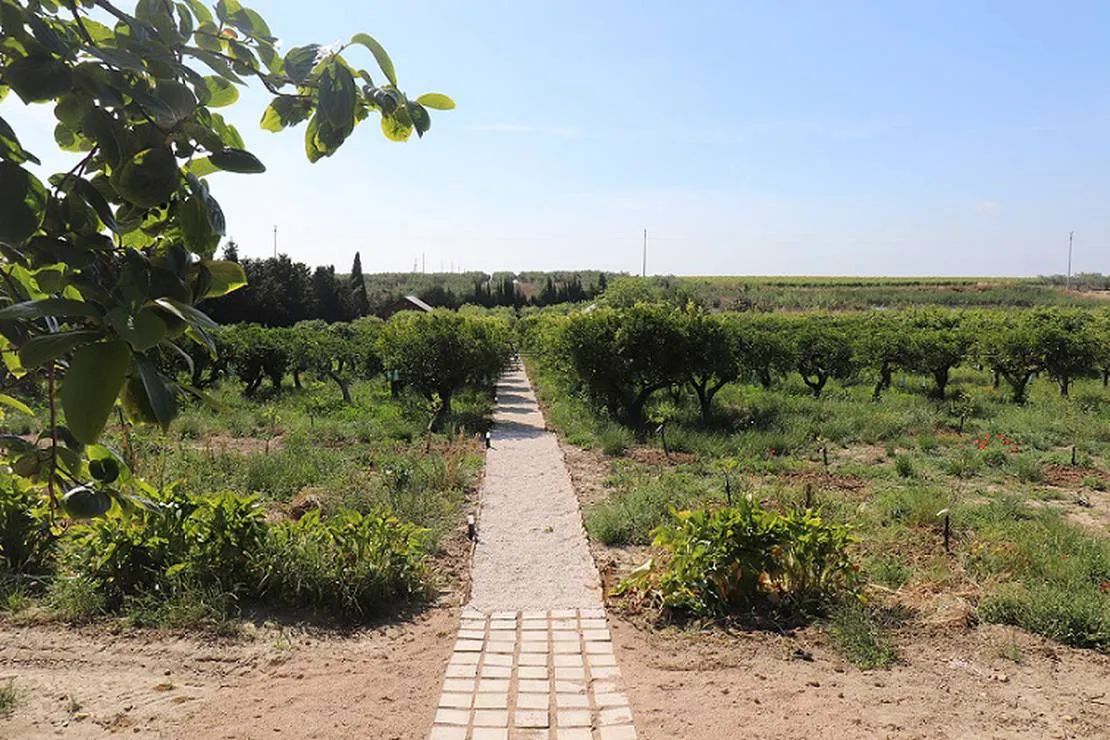 agriturismo-vultaggio-trapani-gwhbn
