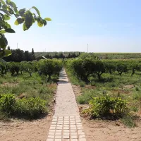 agriturismo-vultaggio-trapani-gwhbn