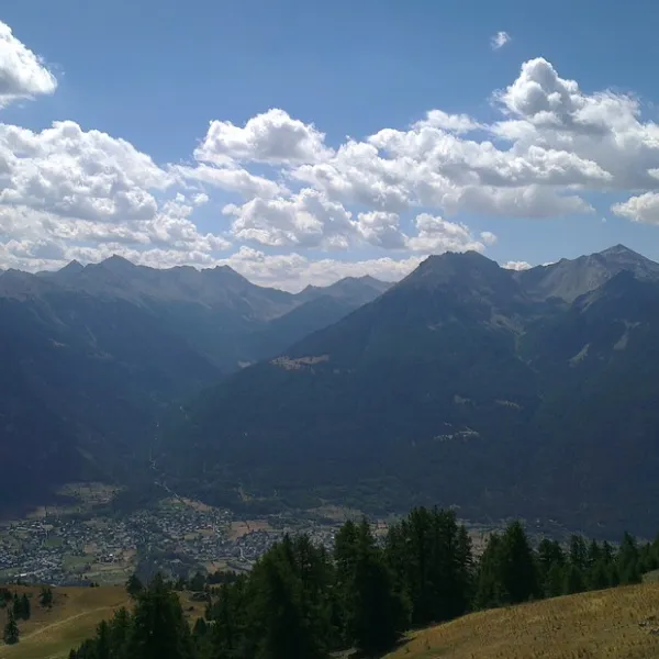liscle-de-prelles-prelles-thalq