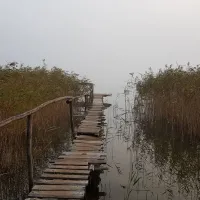 kikity-camping-at-the-lake-kikity-20jz0