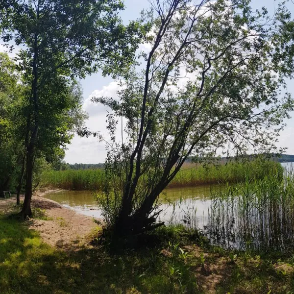 kikity-camping-at-the-lake-kikity-k5cjf