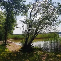 kikity-camping-at-the-lake-kikity-k5cjf