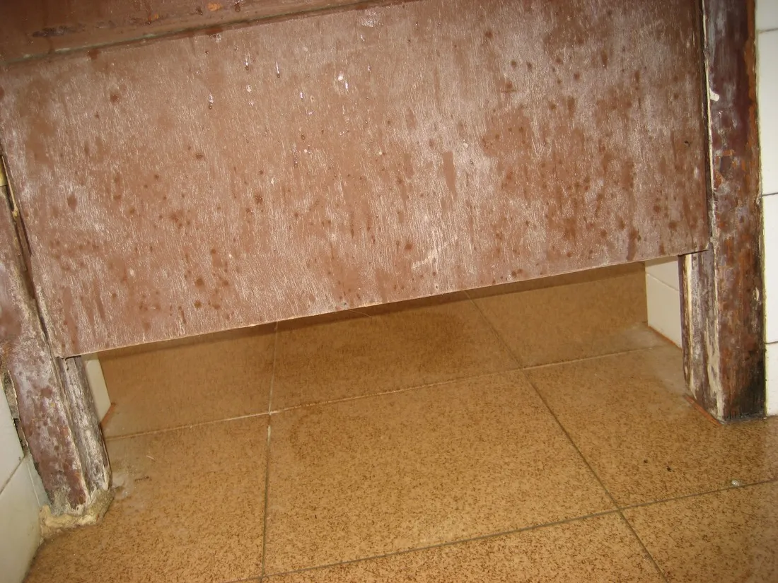 la-buganvilla-marbella-f2bgq