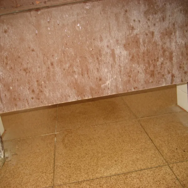 la-buganvilla-marbella-f2bgq