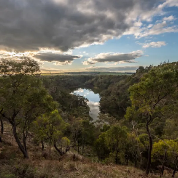 Mt Eccles National Park Campground