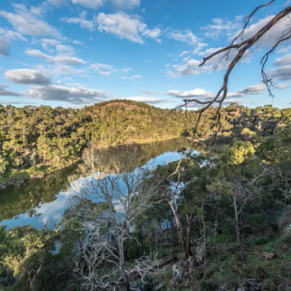 Mt Eccles National Park Campground