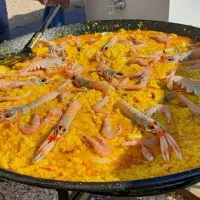 camper-park-playas-de-luz-pozo-del-camino-ettms
