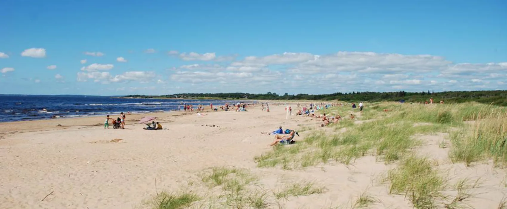 Gullbrannagården