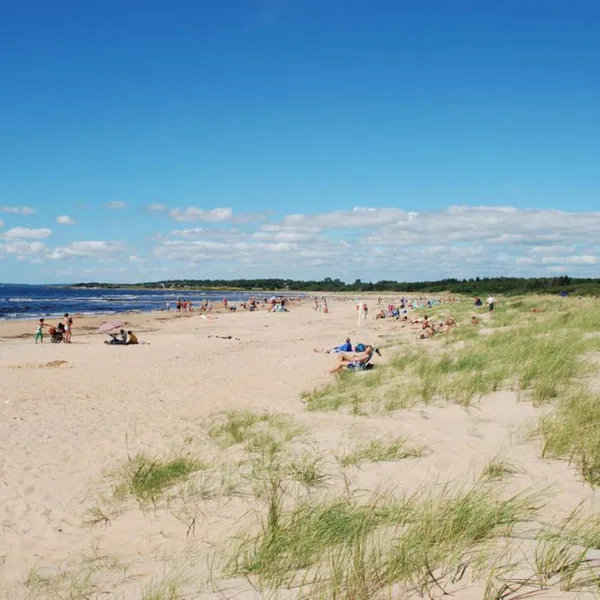 Gullbrannagården