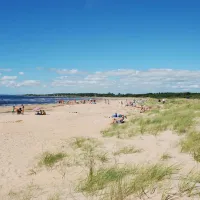 Gullbrannagården