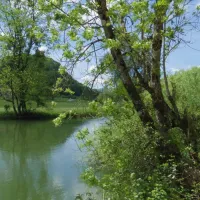 camping-municipal-de-vaufrey-vaufrey-20mng