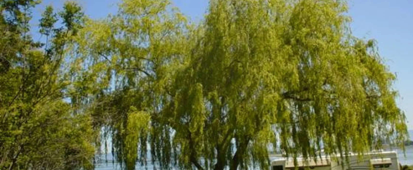 Fidalgo Bay Resort