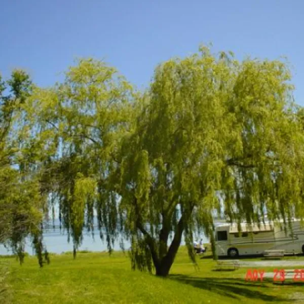 fidalgo-bay-resort-anacortes-nsl3z
