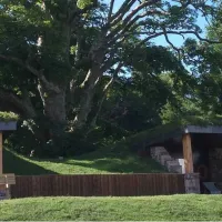quiet-site-caravan-park-penrith-6npcz