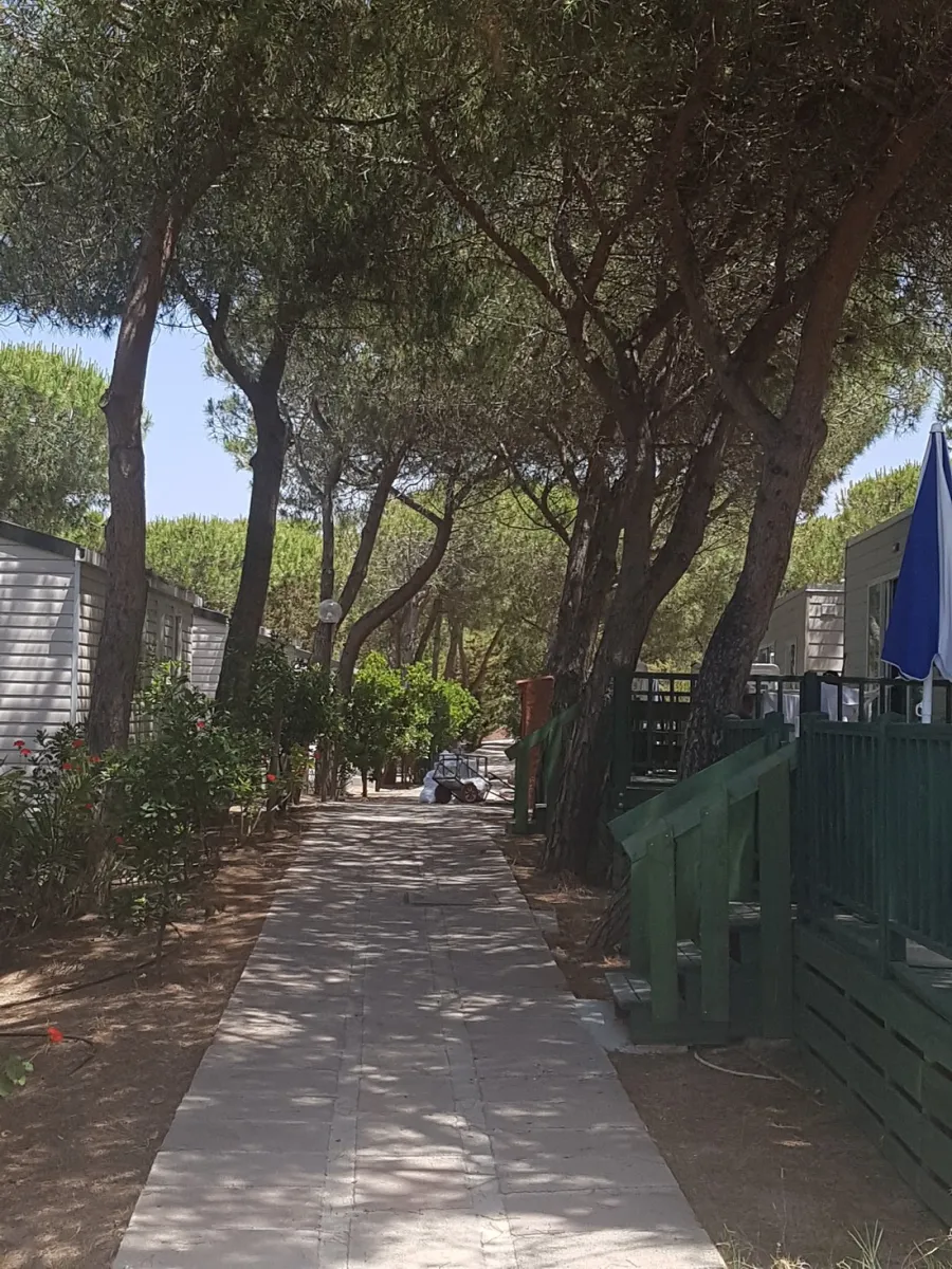 camping-torre-del-porticciolo-alghero-xcdm1