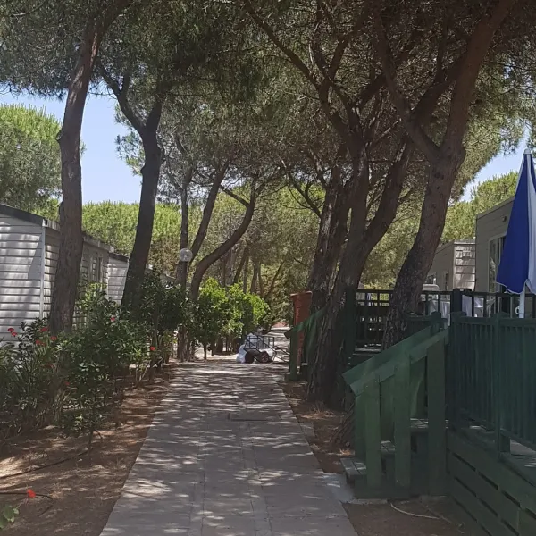 camping-torre-del-porticciolo-alghero-xcdm1