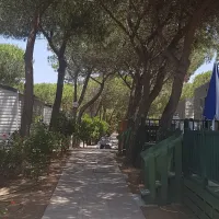 camping-torre-del-porticciolo-alghero-xcdm1