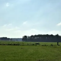 minicamping-heidehof-wellerlooi-w2tux