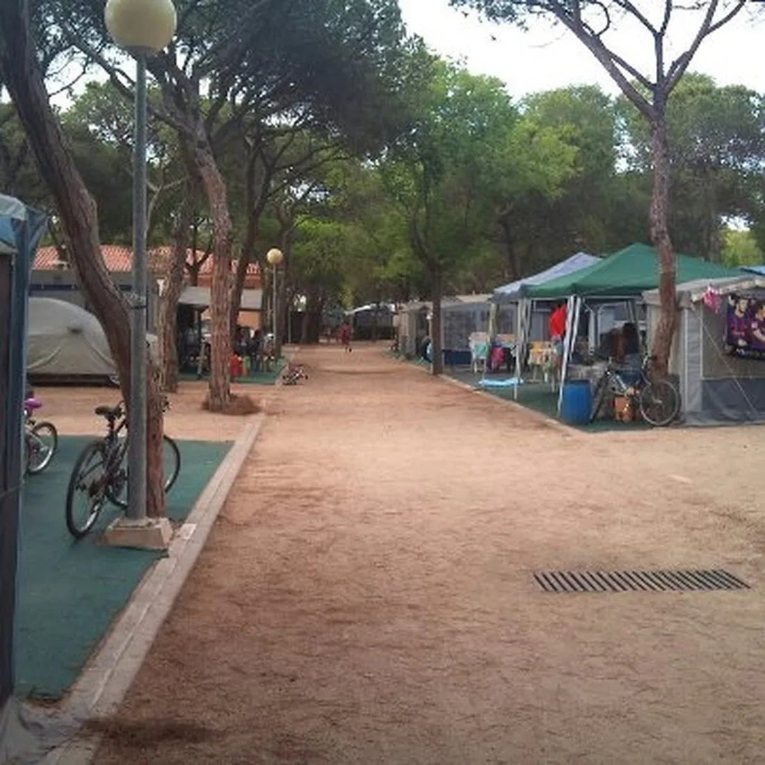 camping-bella-terra-blanes-gjbd6