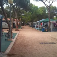 camping-bella-terra-blanes-gjbd6