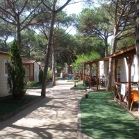 camping-bella-terra-blanes-la8e0