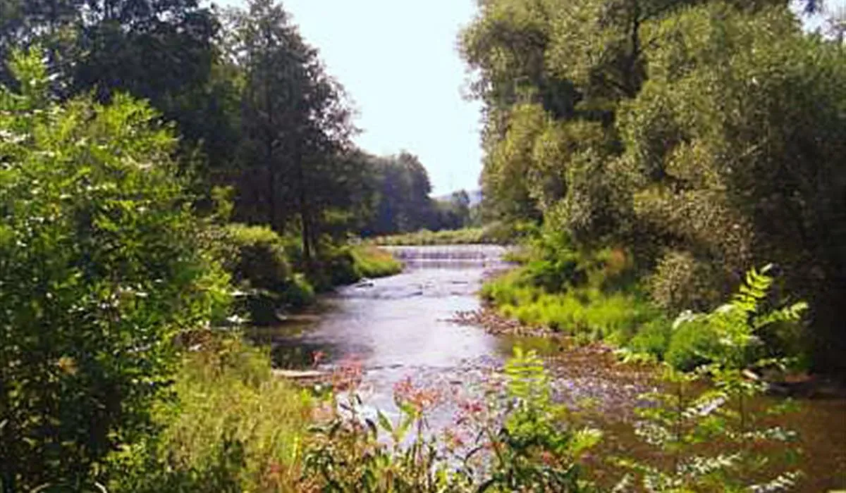 camping-cabrov-tn-nad-vltavou-g2gqb
