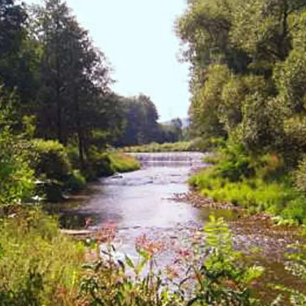 camping-cabrov-tn-nad-vltavou-g2gqb