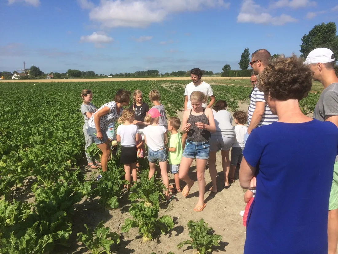 boerderijcamping-molenperk-seeroskerke-yeqkm
