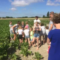 boerderijcamping-molenperk-seeroskerke-yeqkm