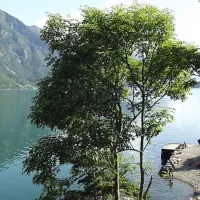 eikhamrane-camping-na-wnkho