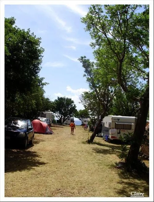 camping-kozica-klenovica-syni1
